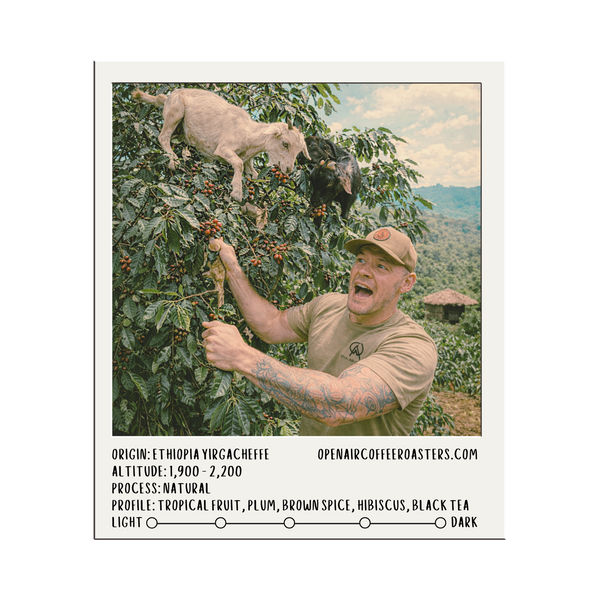 Ethiopia Yirgacheffe